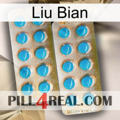 Liu Bian new08